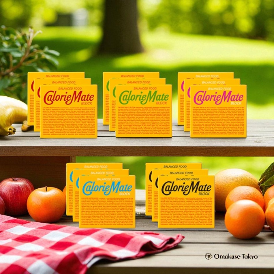 Calorie Mate Block All Flavors Set of 4 15 Boxes