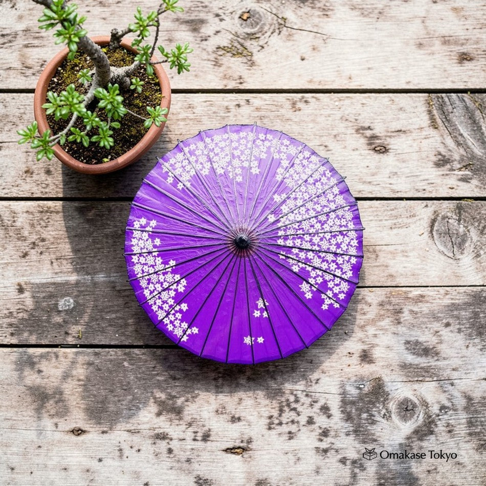Parapluie japonais en papier (Wagasa)