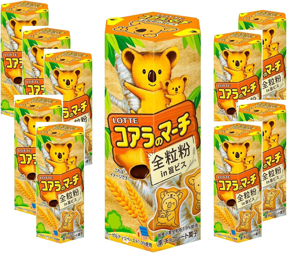 Lotte Koala March (Umami en poudre de grains entiers)