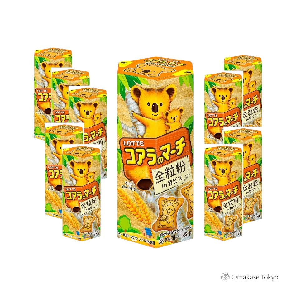 Lotte Koala March (Umami en poudre de grains entiers)