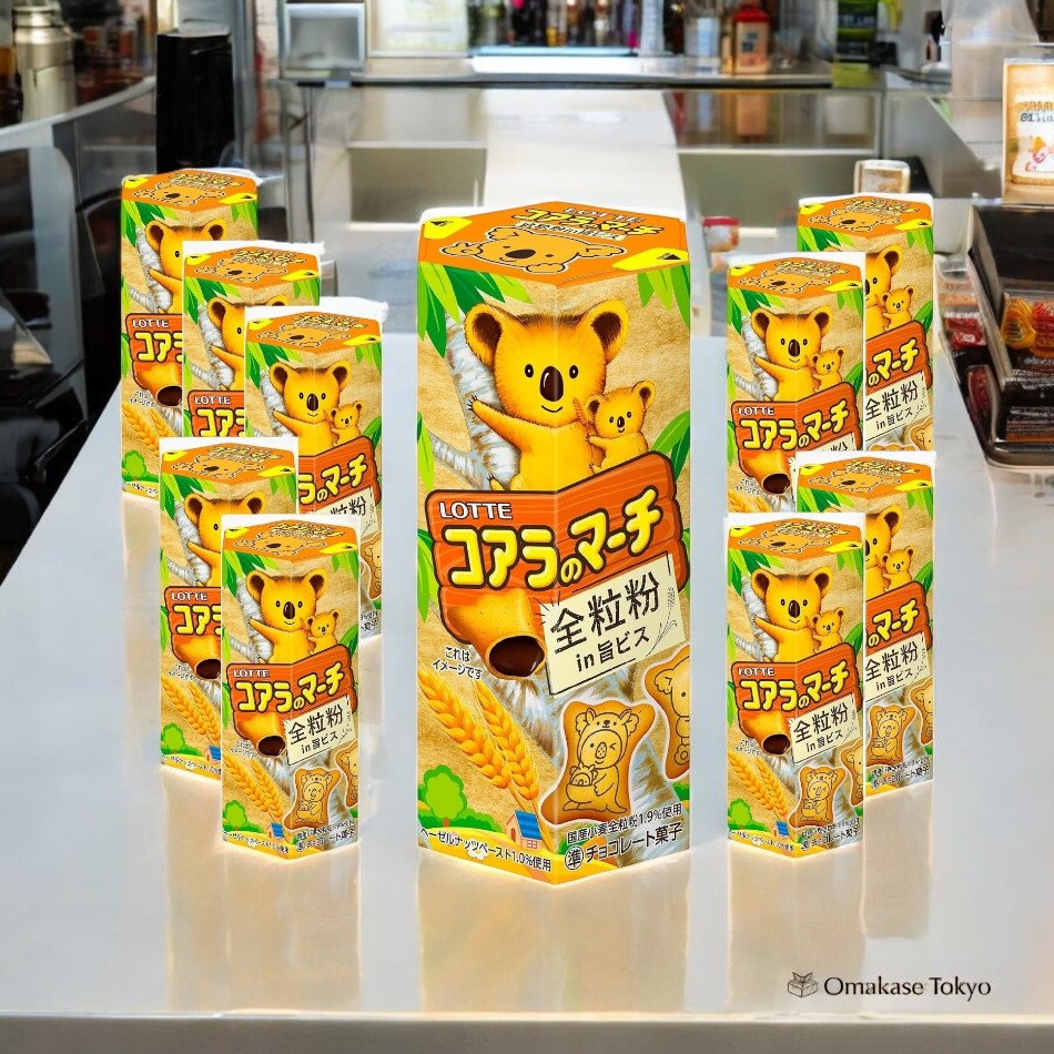 Lotte Koala March (Umami en poudre de grains entiers)