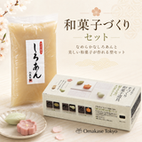 Nerikiri Starter Set Skater Japanese Wagashi Mold set with Anko Sweet Bean Paste