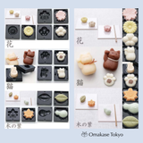 Nerikiri Starter Set Skater Japanese Wagashi Mold set with Anko Sweet Bean Paste