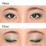 Chifure Twin Color Eyeshadow 84 Green Dual Shade Eye Makeup