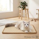 FUKUMARU Cat Scratcher Mat Beige 19.7 x 11.8 in, Natural Sisal