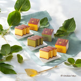 Nagasaki Traditional Castella Classic & Matcha Set