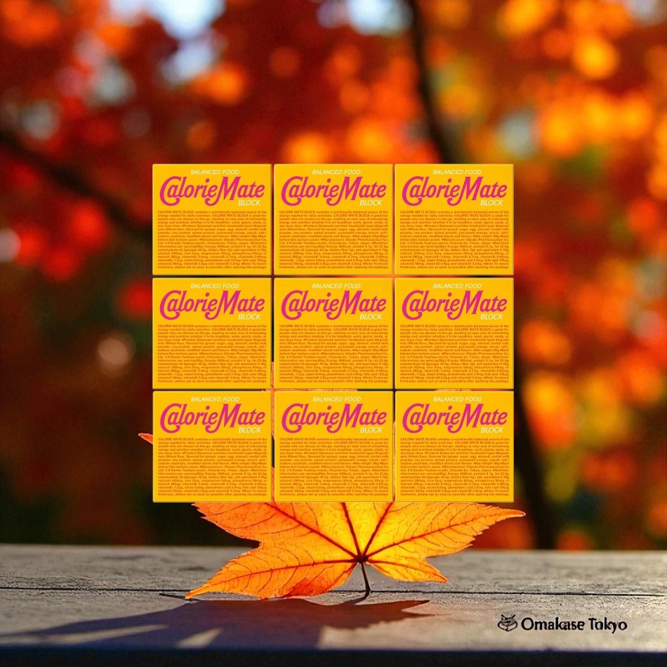 Calorie Mate Block, Maple Flavor, 4 x 9 Packs