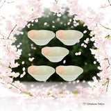 Yamaki Pottery Tonsui Minoyaki Plates set of 5